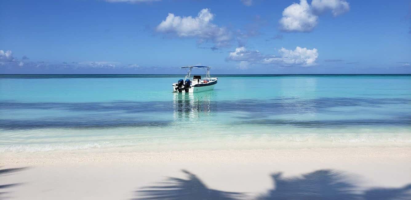 From Punta Cana: Saona Island Speedboat and Catamaran Tour - Key Points