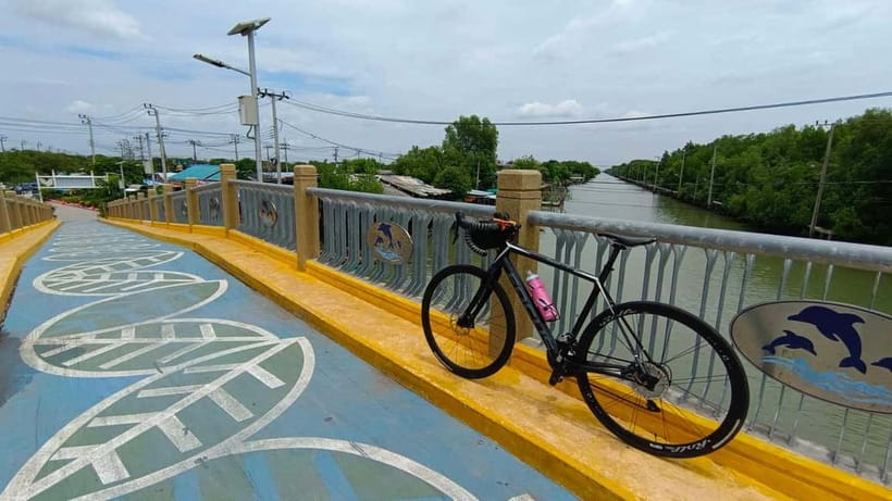 Bangkok: Seaside Views Cycling Tour via Mangrove Tunnel - What You Can Expect from the Seaside Views Cycling Tour