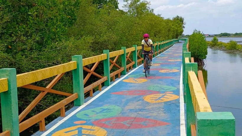 Bangkok: Seaside Views Cycling Tour via Mangrove Tunnel - Practical Details and Considerations