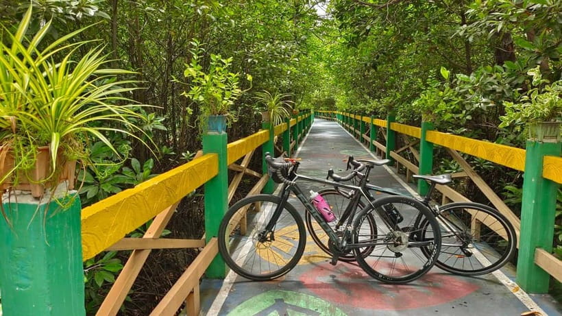 Bangkok: Seaside Views Cycling Tour via Mangrove Tunnel - Key Points