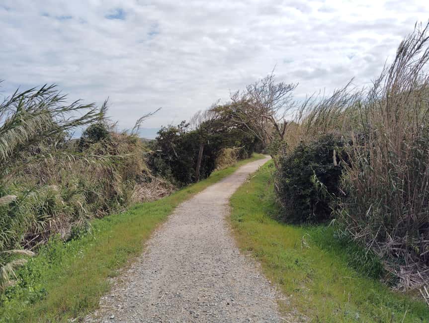 Fukuoka: Cats Island, Ainoshima Guided Tour from Hakata - Analyzing the Cost and Value