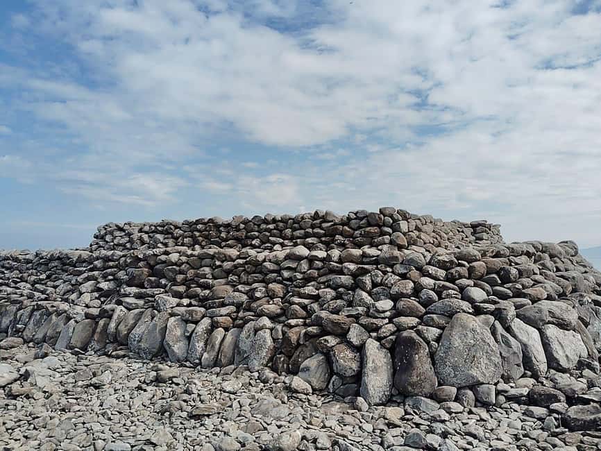 Fukuoka: Cats Island, Ainoshima Guided Tour from Hakata - Authentic Experiences & Hidden Gems