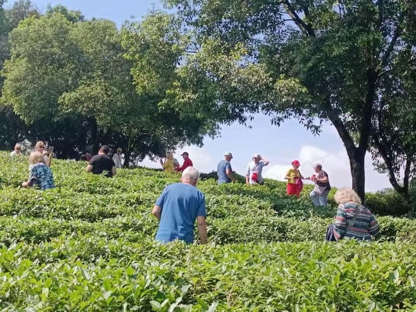 Guilin: City Tour with Elephant Hill & Ming Tea Tasting - Key Points