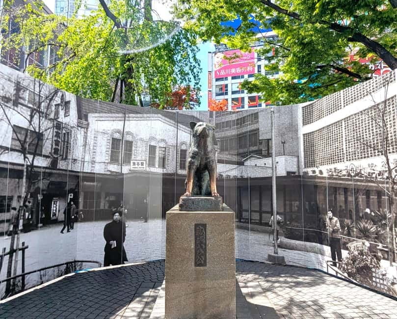 This is Real TOKYO!! SHIBUYA Tour from TGP!! - What’s Special About This Tour?