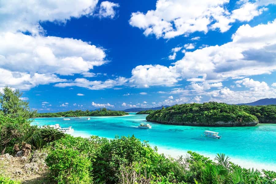 Ishigaki: Full-Day Island Tour with Photos & Transfer - FAQ