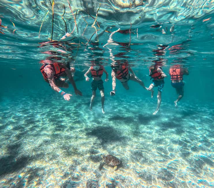 Cancun: Tulum Ruins, Akumal Turtles, Cenote & Caves Tour - What Makes This Tour Stand Out?