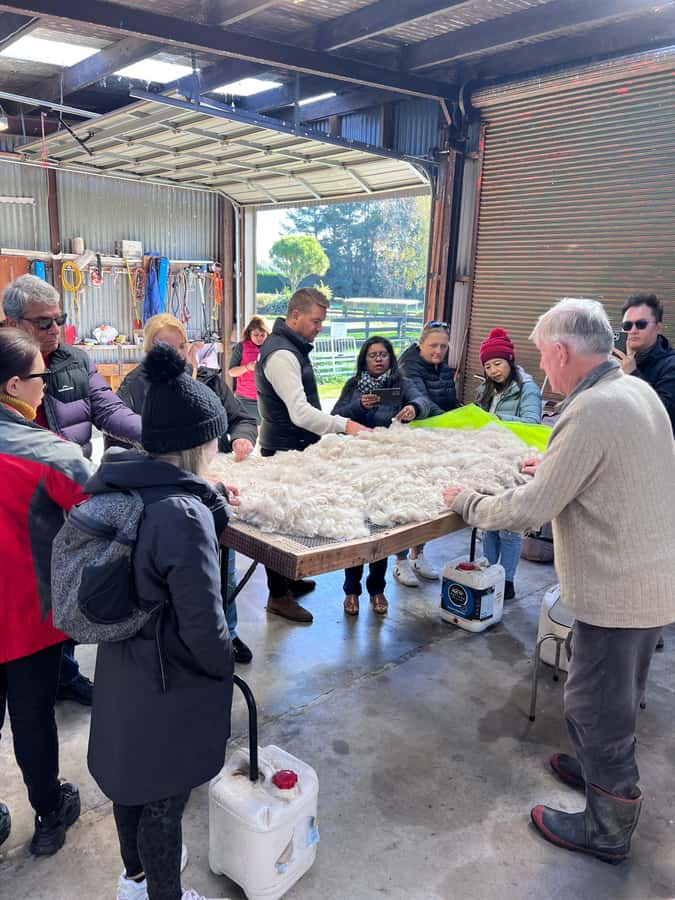 Silverstream Alpaca Farm Tour with Feeding and Guide - Practical Tips for Your Visit