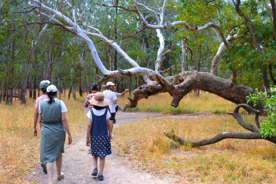 Adelaide: Fleurieu Snorkel & Beer Safari - The McLaren Vale Beer Break