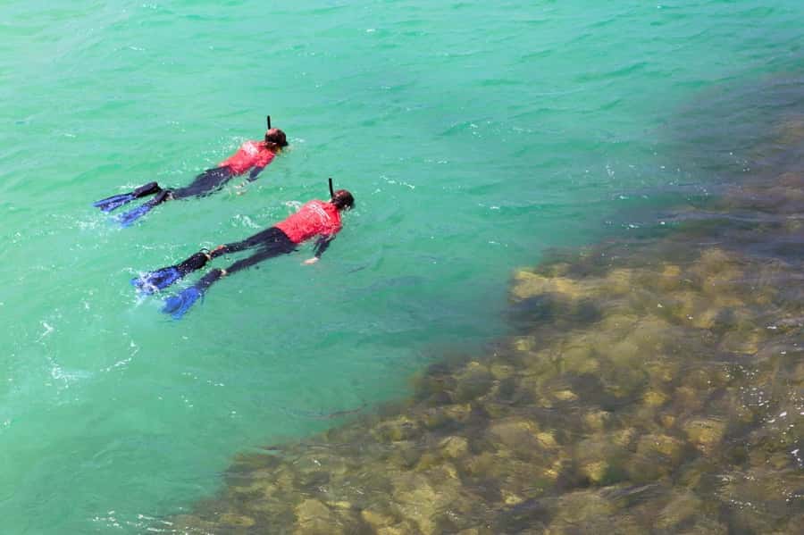 Adelaide: Fleurieu Snorkel & Beer Safari - Good To Know