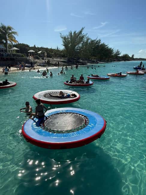 Paradise Found In Hog Haven: Ultimate Beach Escape - An Overview of the Experience