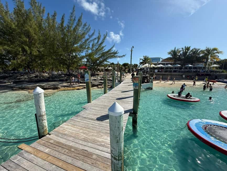 Paradise Found In Hog Haven: Ultimate Beach Escape - The Swimming Pigs: A Highlight