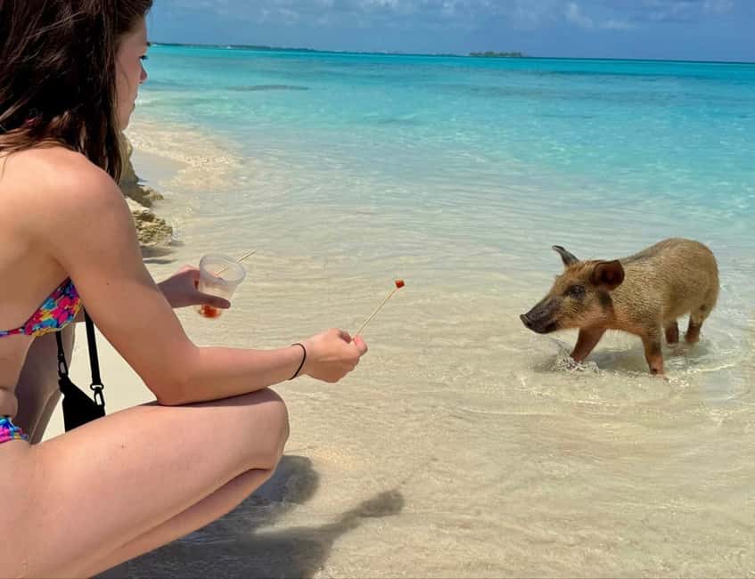 Paradise Found In Hog Haven: Ultimate Beach Escape - FAQ