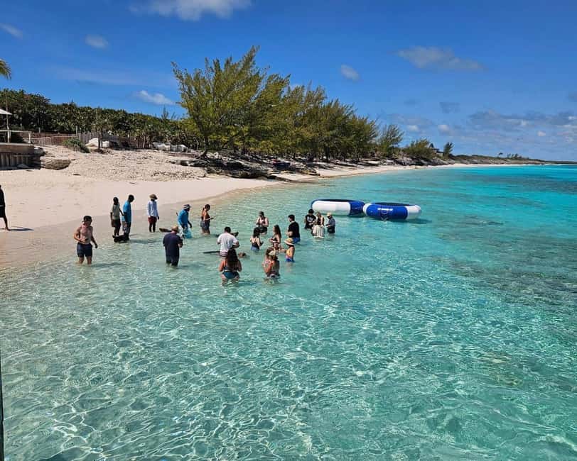 Paradise Found In Hog Haven: Ultimate Beach Escape - The Beach and Water Activities