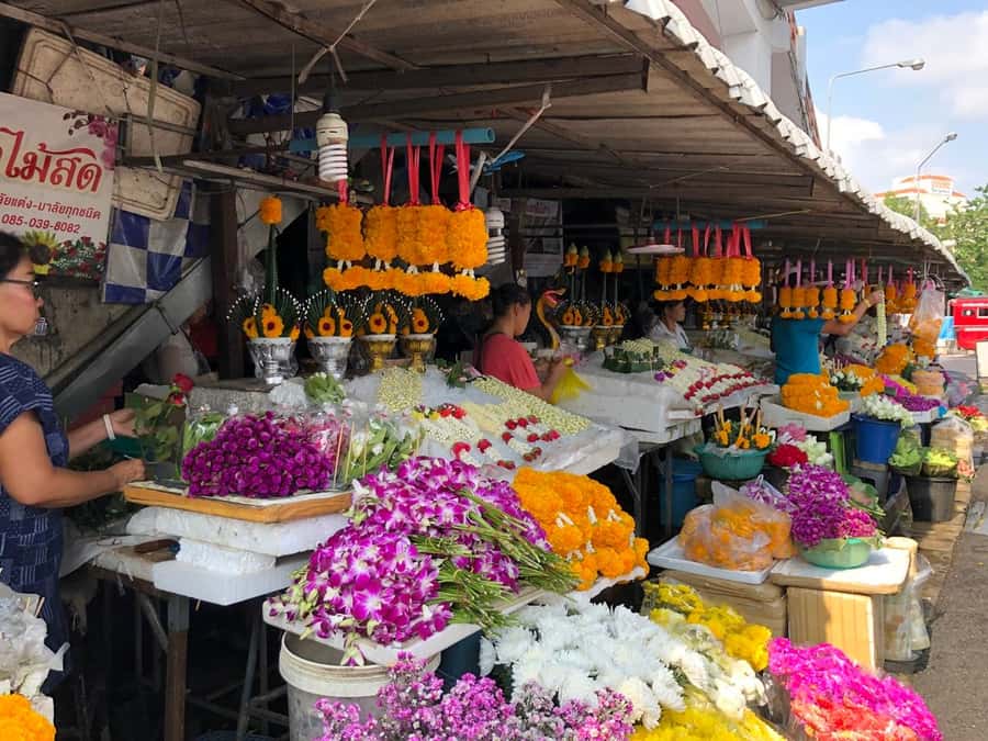 Chiang Mai: Boat Cruise, TukTuk & Songtaew Ride - A Complete Guide to Chiang Mai’s Boat, Tuk Tuk, and Songtaew Adventure