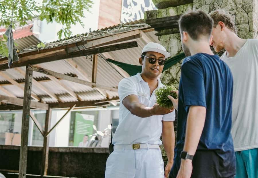 FROM BALI: SAIL, SNORKEL & MANGROVE TOURS TO NUSA LEMBONGAN - Return & Drop-off