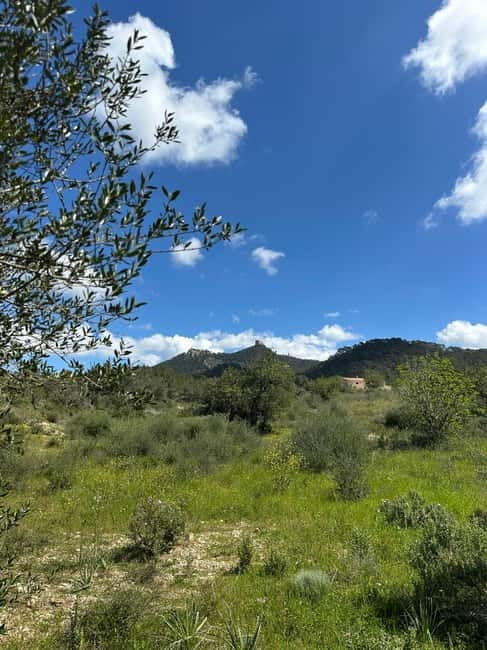 Hiking tour with a dream view of the former monastery of Sant Salvador, 3-4 hours. - An Honest Look at Mallorcas Sant Salvador Hiking Tour