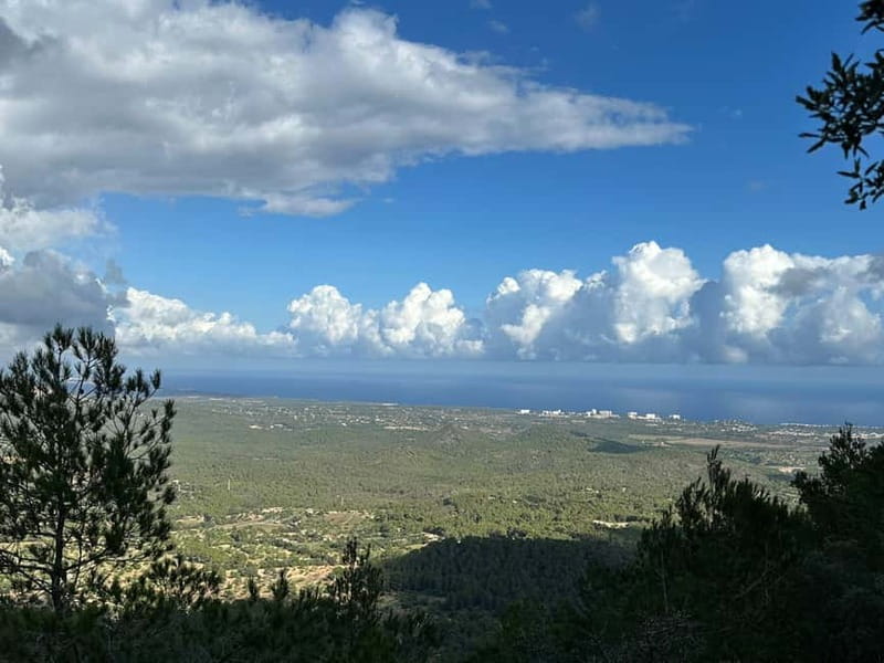 Hiking tour with a dream view of the former monastery of Sant Salvador, 3-4 hours. - The Journey: What to Expect from Start to Finish
