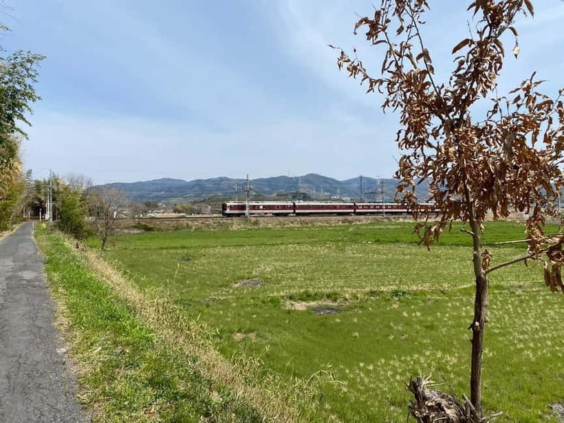 Uji: Tea Ceremony, Calligraphy, and Tea Field Walking Tour - A Journey into Uji’s Tea Heritage