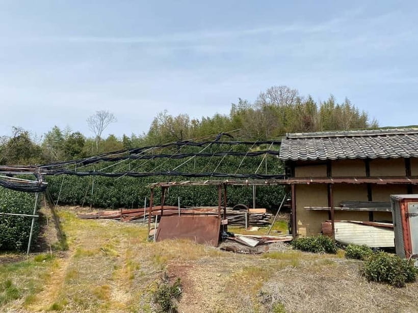 Uji: Tea Ceremony, Calligraphy, and Tea Field Walking Tour - FAQs