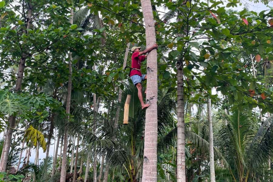 Borobudur: Cycling Tour and Explore Java Villages - Final Thoughts
