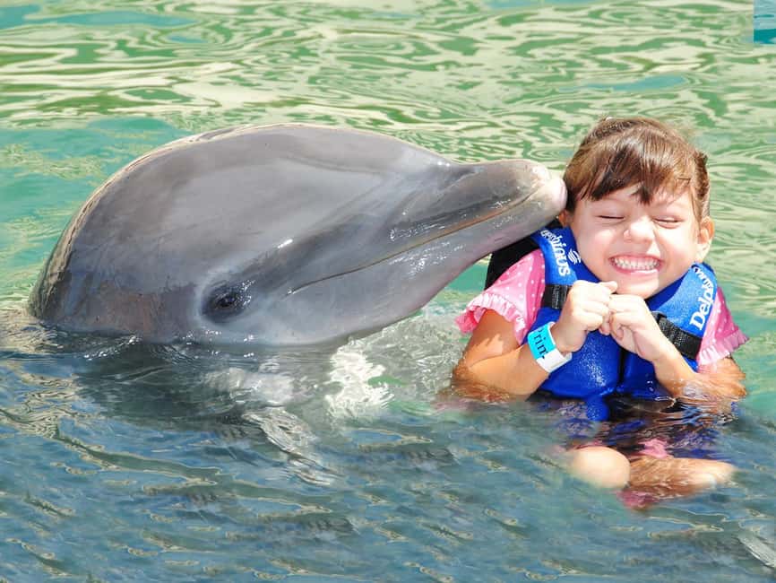 From Playa del Carmen: Complete Combo to Xcaret Park! - Who Will Love This Tour?