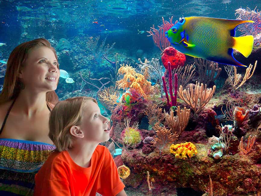 From Playa del Carmen: Complete Combo to Xcaret Park! - The Complete Guide to Your Xcaret Day Trip from Playa del Carmen