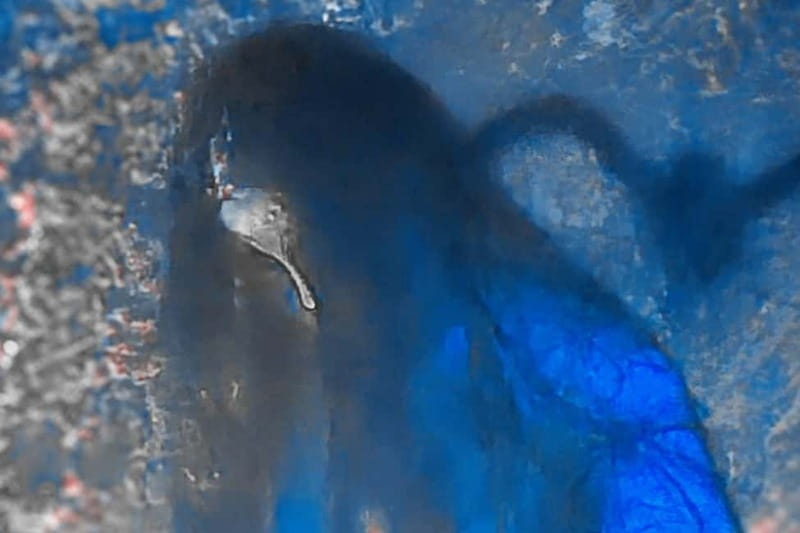 Aveiro: Escape Manor Escape Room - FAQ