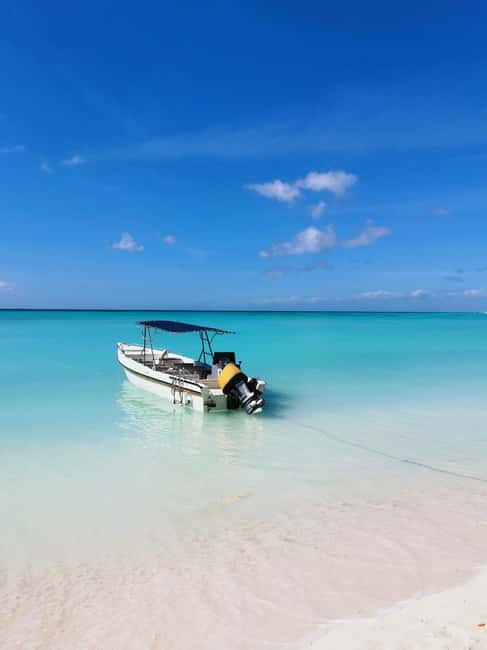 From Puerto Plata: Santo Domingo + Saona Island (2 days) - Who Is This Tour Best For?