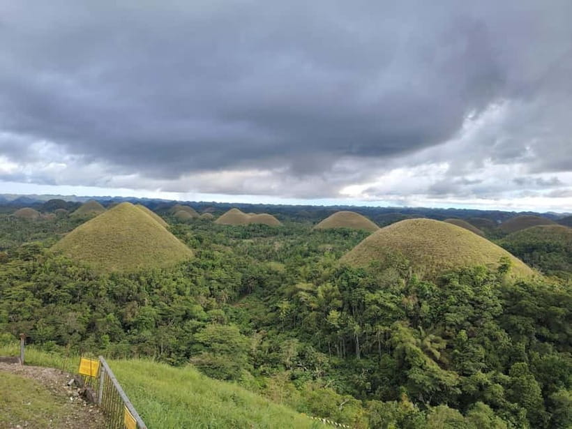 BOHOL: Chocolate Hills, Tarsiers and Loboc River Day Tour - Key Points