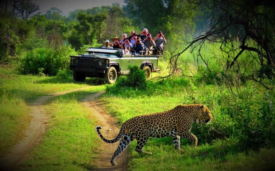 From Kathmandu/Pokhara: Private 3-Day Chitwan Safari Tour - Good To Know