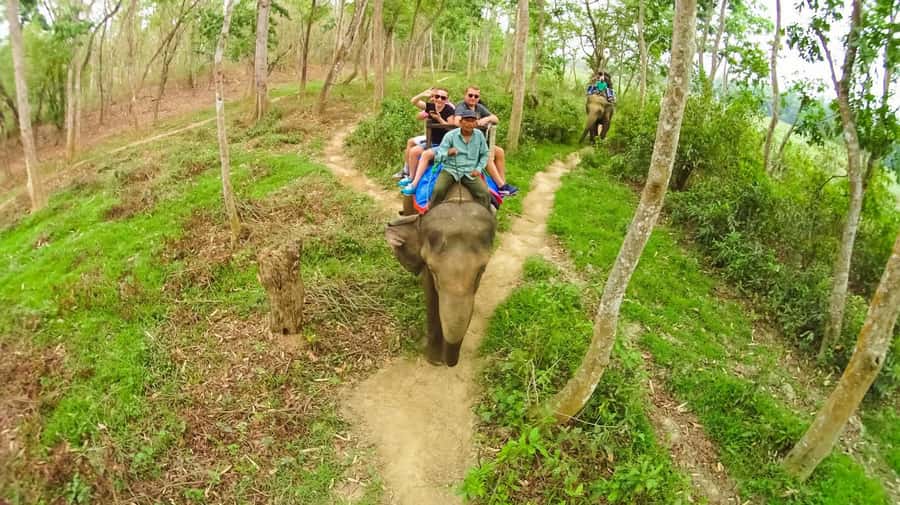 From Kathmandu/Pokhara: Private 3-Day Chitwan Safari Tour - Who Will Love This Tour?