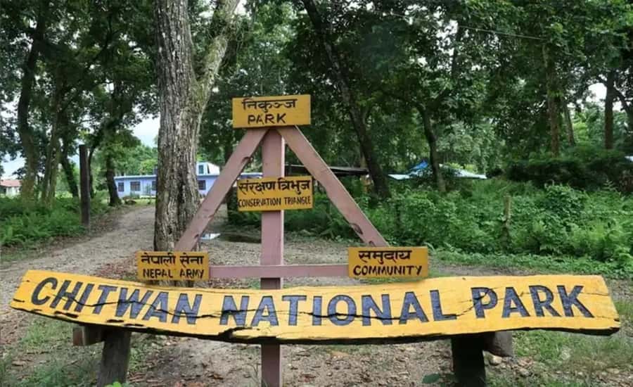 From Kathmandu/Pokhara: Private 3-Day Chitwan Safari Tour - Final Thoughts