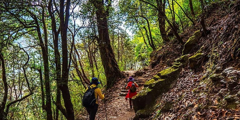 Pokhara: Day Hike to Australian Camp - Starting from Pokhara: Easy and Scenic Transportation