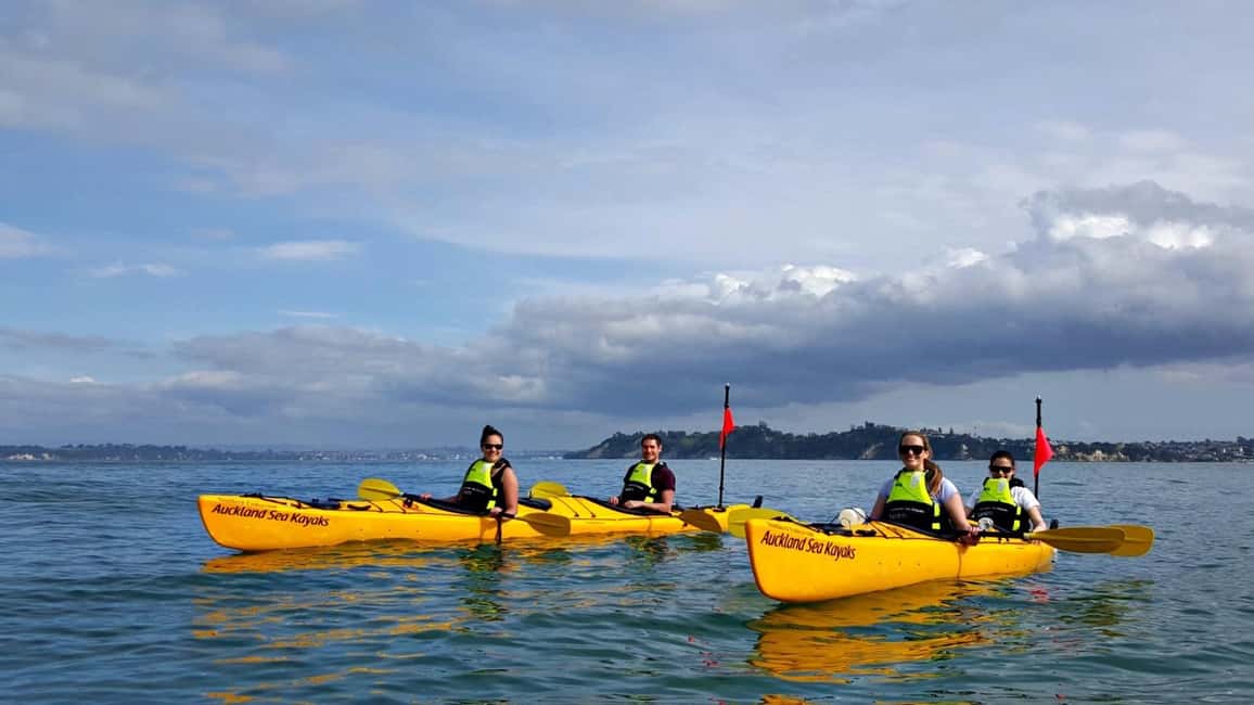 Los Haitises National Park: Kayaking and Hiking Tour - An In-Depth Look at the Los Haitises Experience