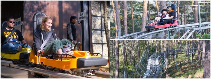 From Nha Trang: Extreme Zipline & Canyoning in Da Lat - An In-Depth Look at the Experience