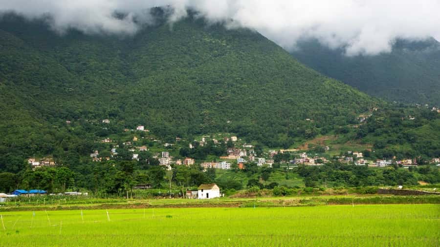 From Kathmandu: Newari Villages Culture & Cuisine Day Trip - What is the tour about?