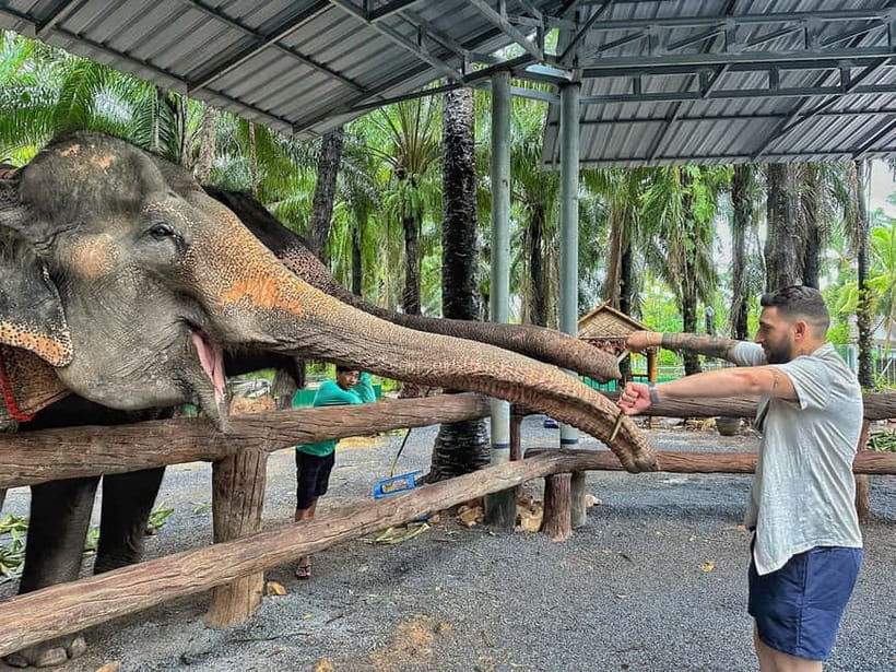 Krabi: Elephant Feeding Program with Food Preparation - Detailed Tour Breakdown