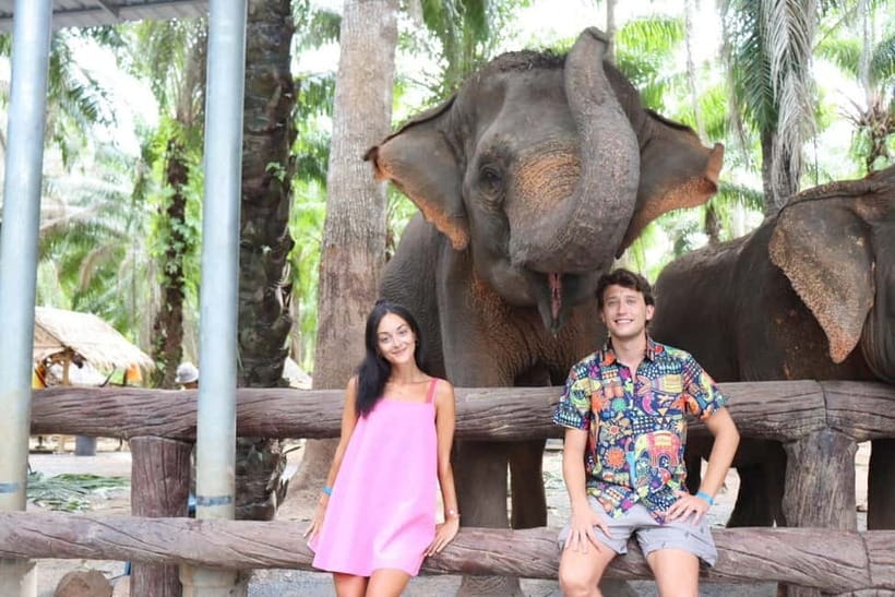 Krabi: Elephant Feeding Program with Food Preparation - Practical Tips for Visitors