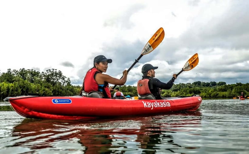 From Tagbilaran City/Panglao Island: Bohol Mangrove Kayaking - The Sum Up