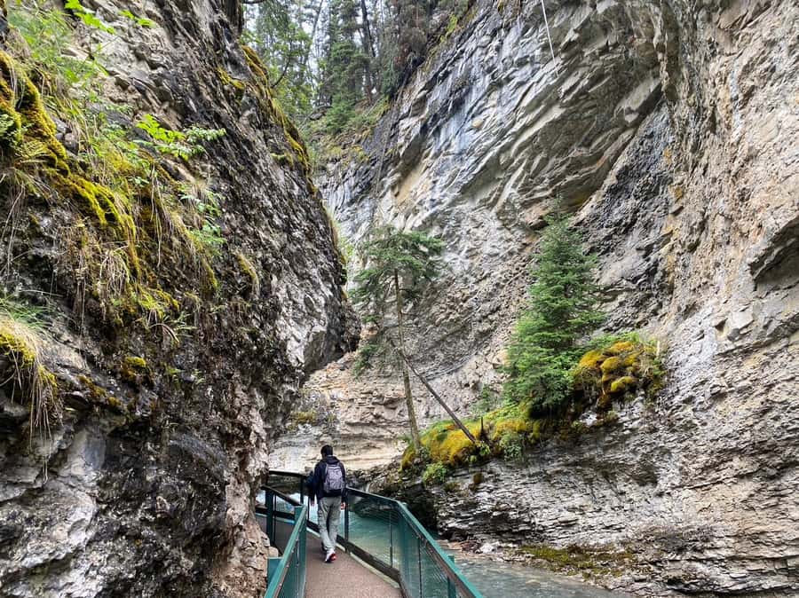 Banff: Louise & Moraine Lake or Johnston Canyon 1/2 Day Tour - FAQ: All Your Questions About the Tour