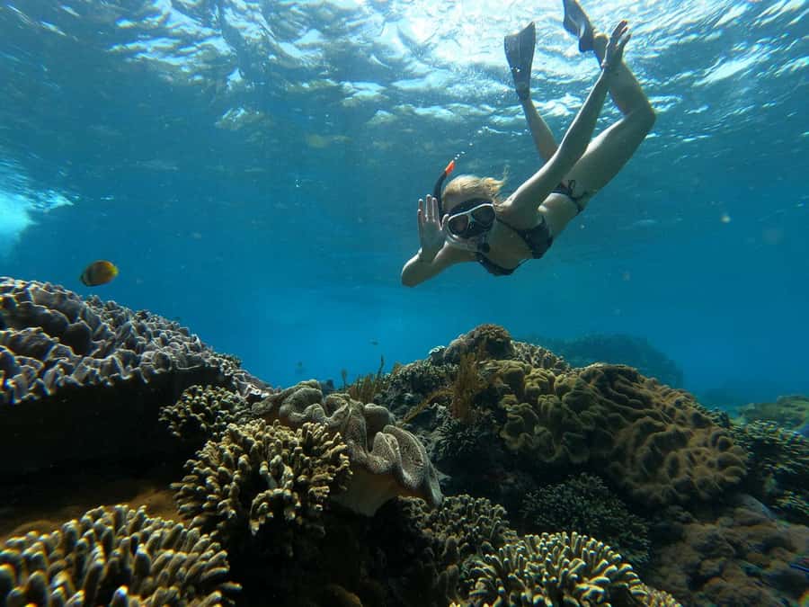 From Lembongan: Manta Point Snorkeling & West Penida Tour - Price and Value