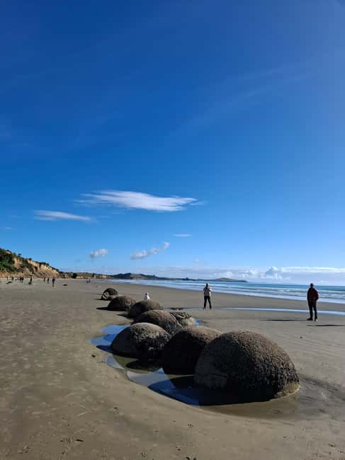 From Dunedin: Mt. Cook and Lake Pukaki Private Day Tour - An In-Depth Look at the Experience