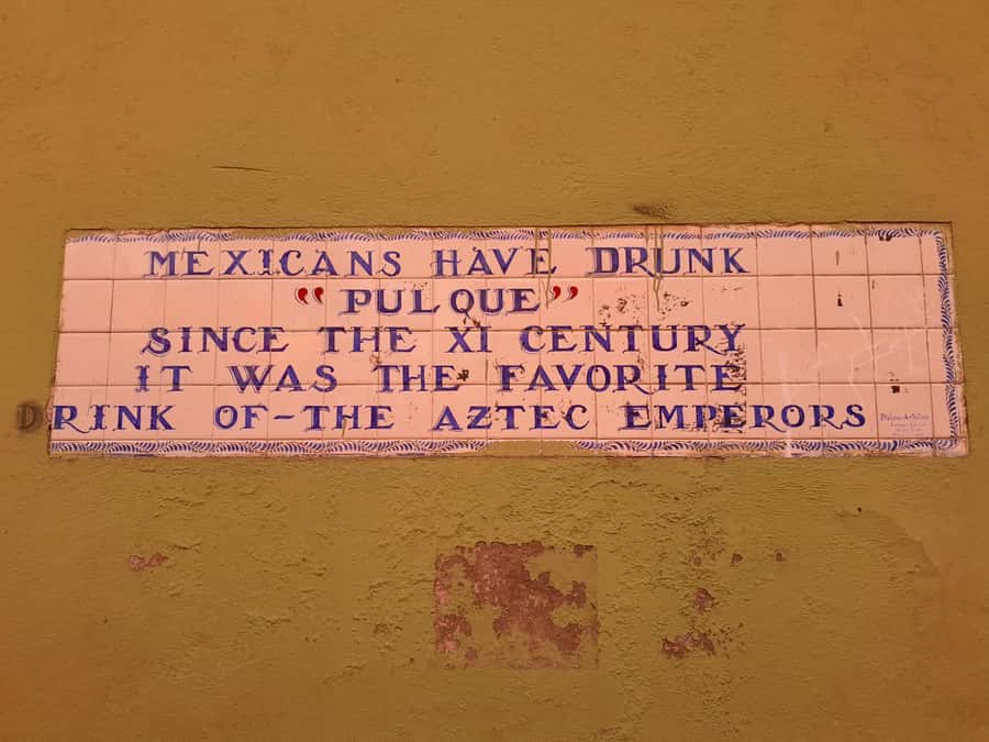 Mexico City: Vegan/Veggie Lucha Libre, Cantinas and Mariachi - FAQ