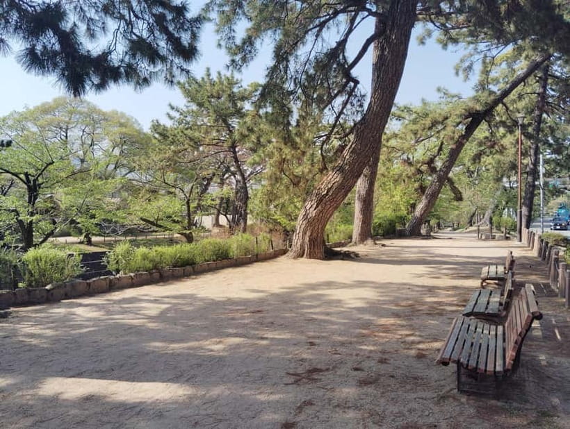 Nishinomiya: Haruhi Suzumiya Anime Locations Guided Tour - The End of the Tour: Nishinomiya’s Iconic School