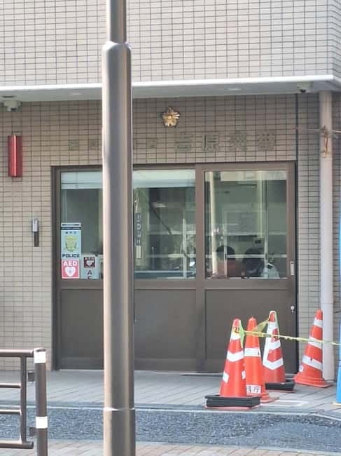 Tokyo: Yoshiwara Brothel History Walking Tour - The Practicalities: What to Expect