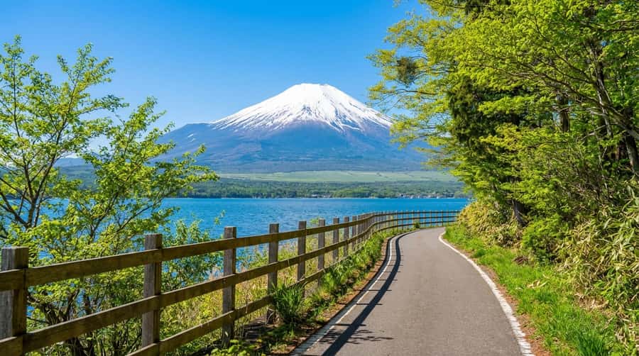 Tokyo: Mt. Fuji 6 Attractions: Lake Kawaguchi, Oshino Hakkai - In-Depth Breakdown of the Itinerary
