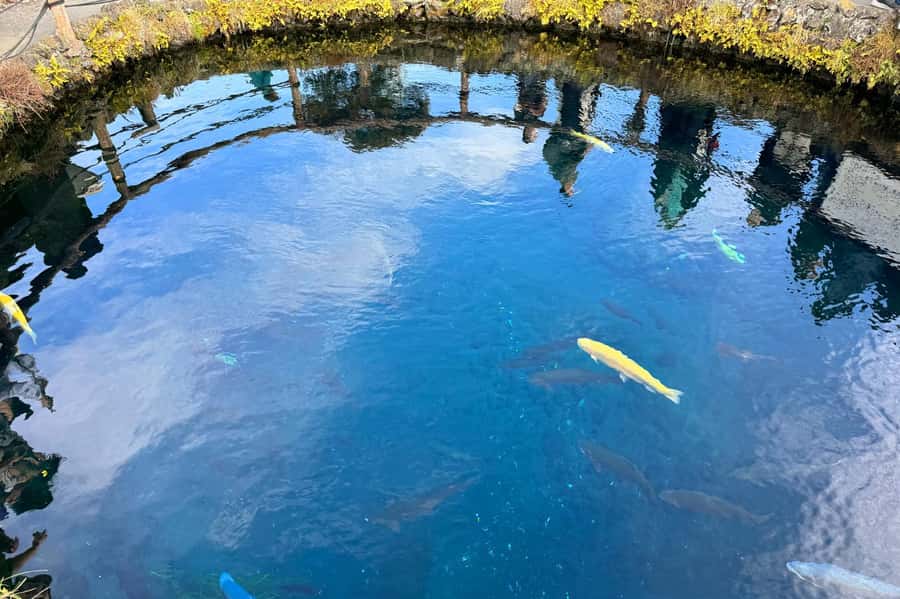 Tokyo: Mt. Fuji 6 Attractions: Lake Kawaguchi, Oshino Hakkai - An Overview of the Tour Experience