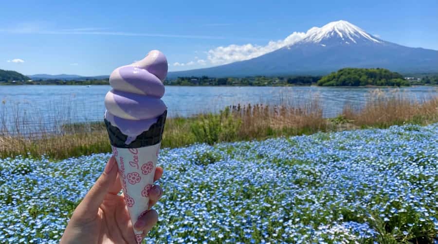 Tokyo: Mt. Fuji 6 Attractions: Lake Kawaguchi, Oshino Hakkai - The Sum Up: Who Is This Tour For?
