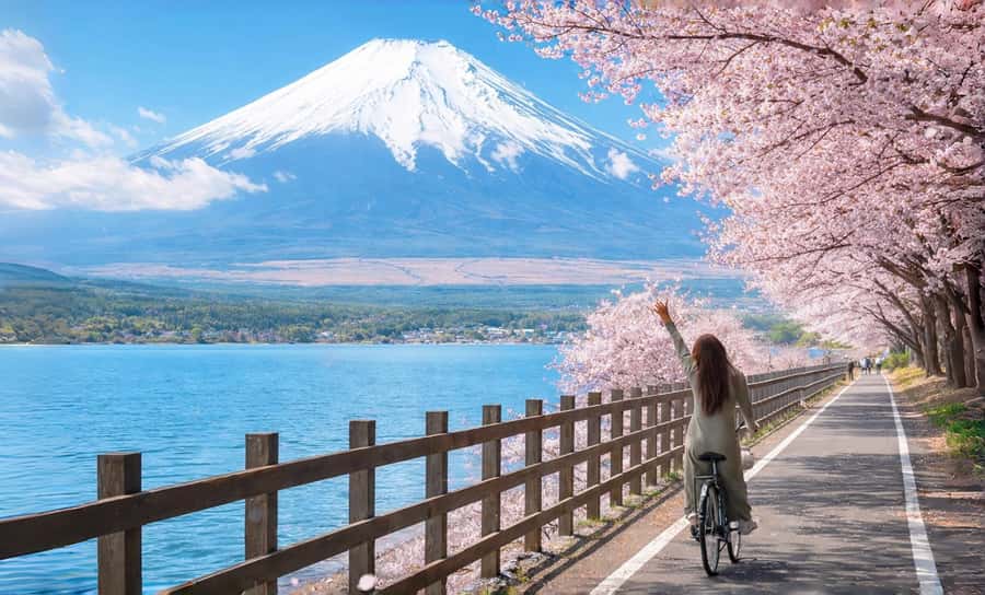 Tokyo: Mt. Fuji 6 Attractions: Lake Kawaguchi, Oshino Hakkai - Key Points