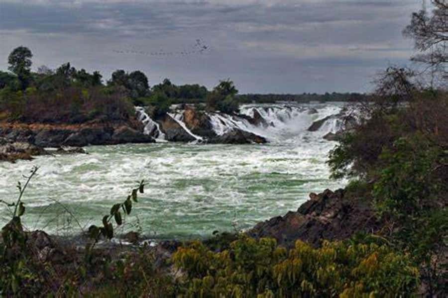 Pakse: Khone Phapheng Waterfall Day Tour with Lunch & Dinner - Authentic Laotian Cuisine